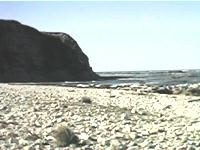 カイコウラの海岸
